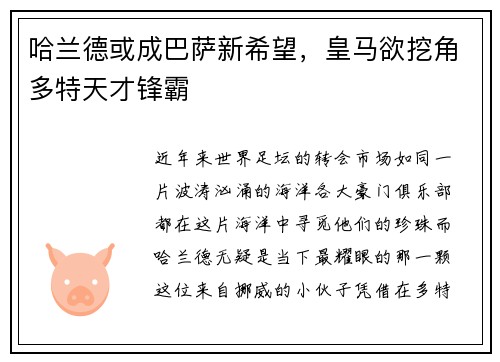 哈兰德或成巴萨新希望，皇马欲挖角多特天才锋霸